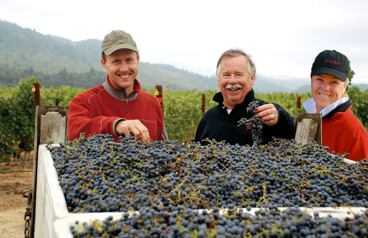 Schrader Cellars team with a bin of freshly harvested red wine grapes in the vineyard