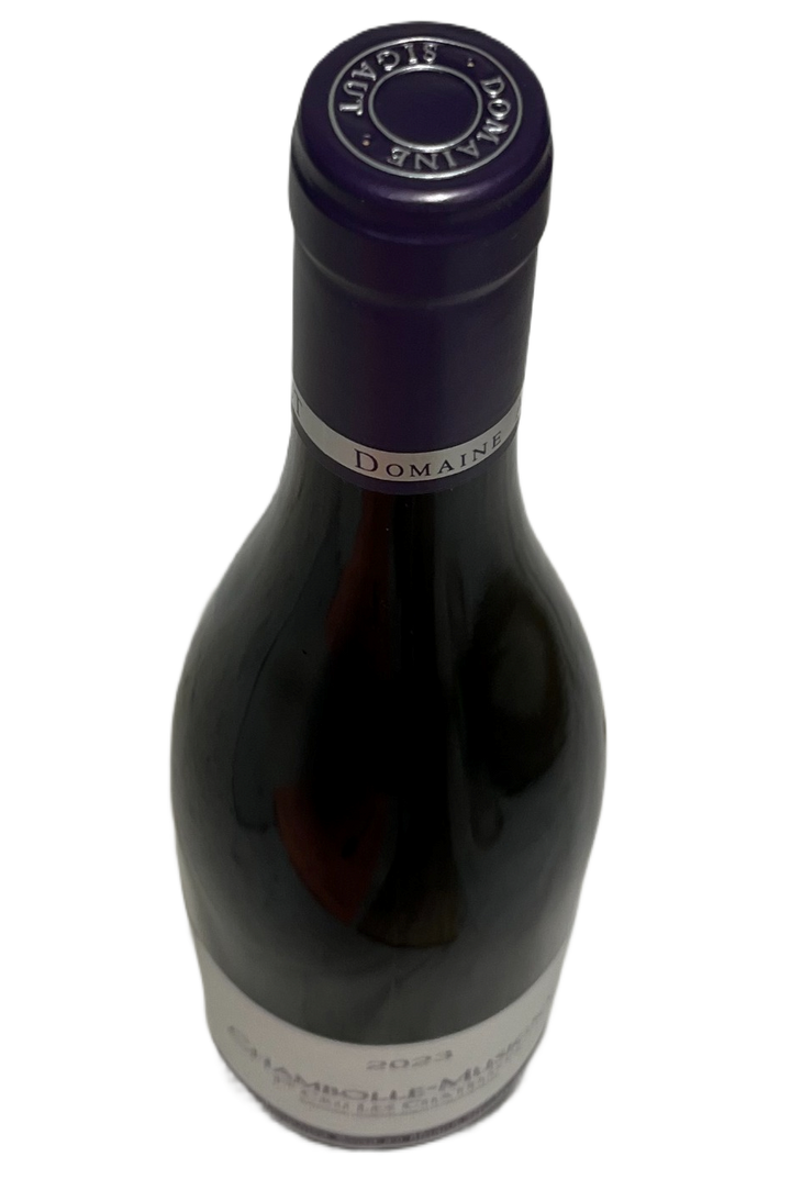 2023 Domaine Anne et Herve Sigaut Chambolle Musigny les Chatelots