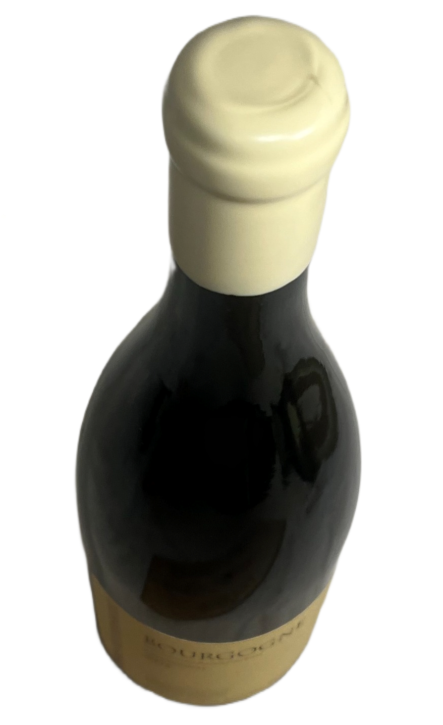 2023 Pierre Yves Colin-Morey Bourgogne Chardonnay Blanc