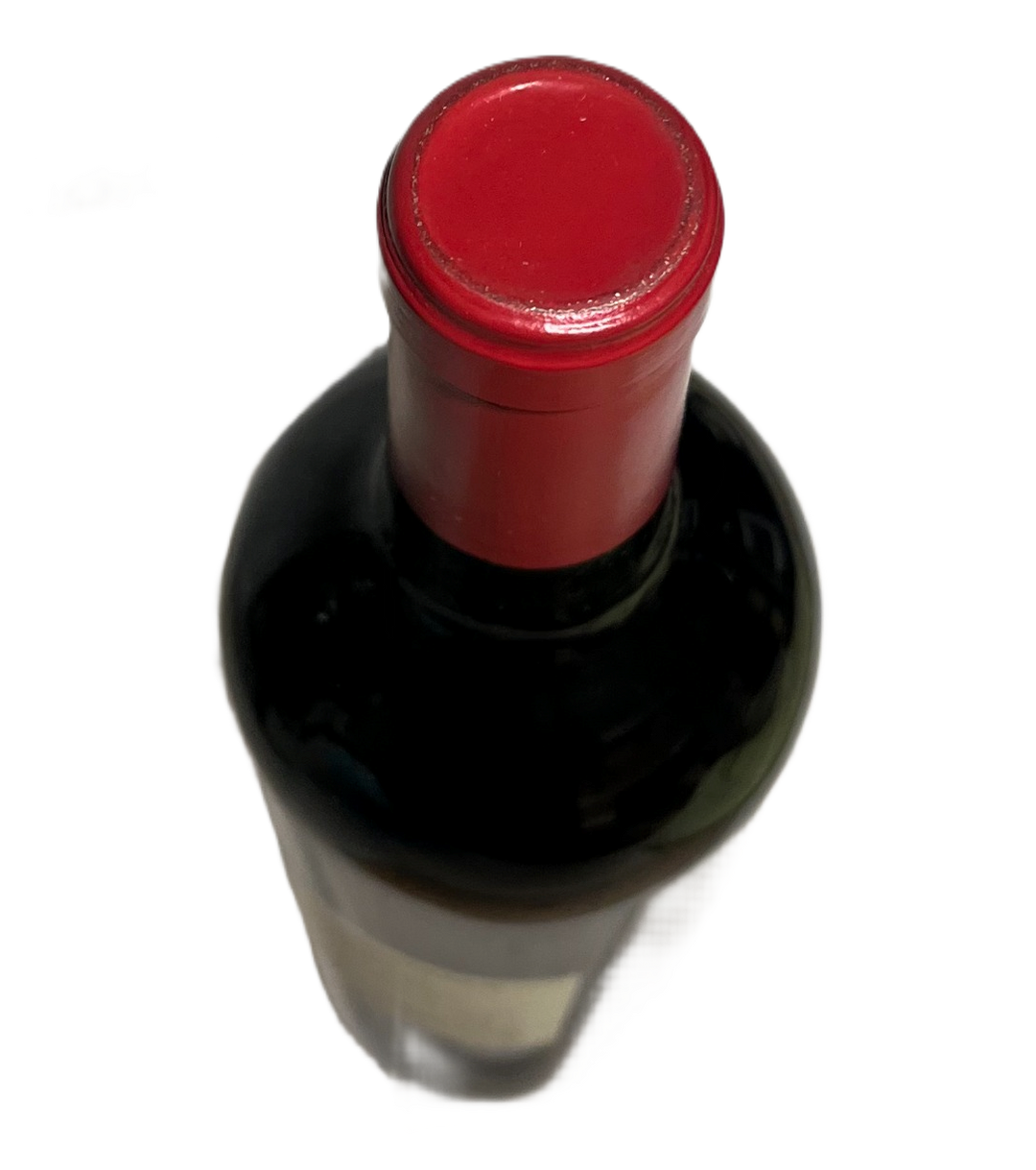 2013 Roc De Cambes Cotes de Bourg